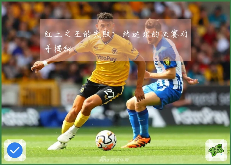 红土之王的失败：纳达尔的决赛对手揭秘